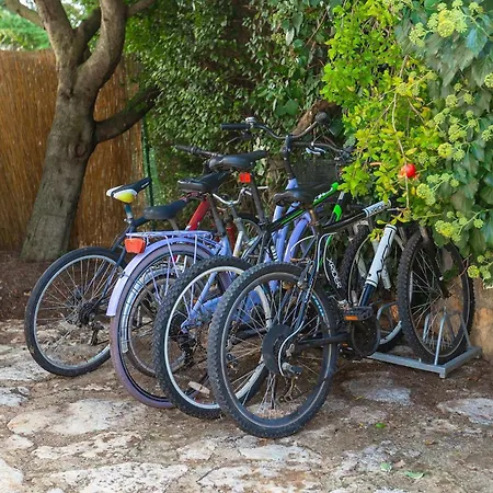 Сasa de vacaciones Mimosa Bužinija